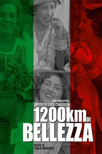 Movie poster for 1200 km of Beauty (2016)