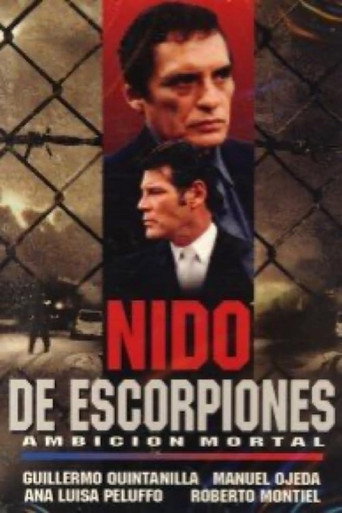 Movie poster for Abuso: Ambición mortal (2001)