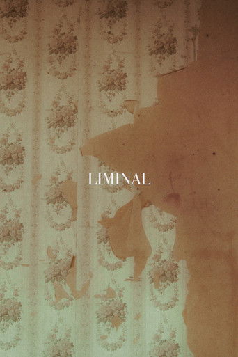 LIMINAL poster