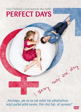 Perfect Days poster