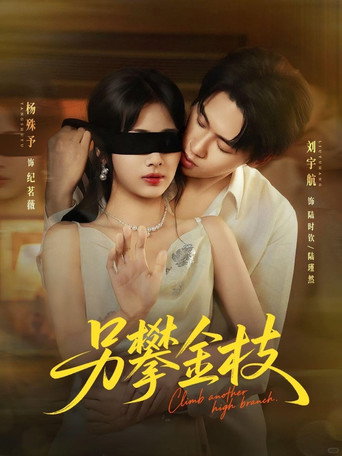 另攀金枝 poster