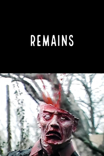 Movie poster for Remains (2006)