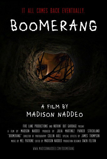 Movie poster for Boomerang (2025)