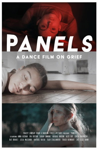 Movie poster for Panels (2024)