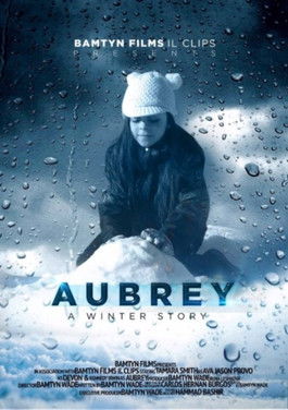 A Winter Story poster