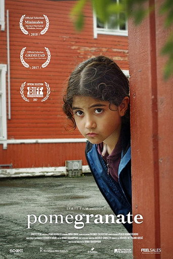 Movie poster for Pomegranate (2017)