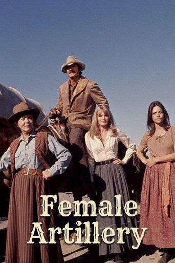 Movie poster for Female Artillery (1973)