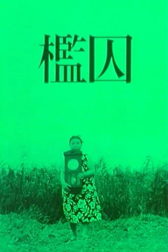 Movie poster for The Cage (1964)