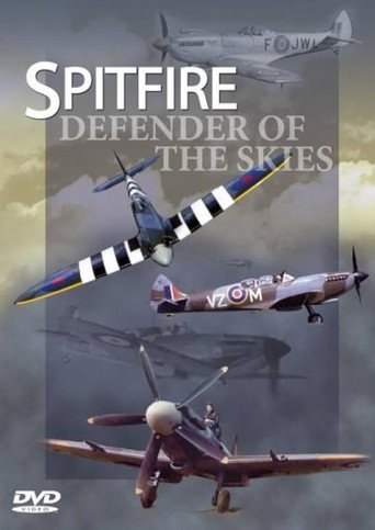 Movie poster for Spitfire: Defender of the Skies (2006)