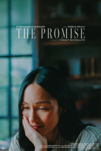 Movie poster for The Promise (2026)