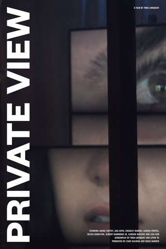 Movie poster for Private View (2020)