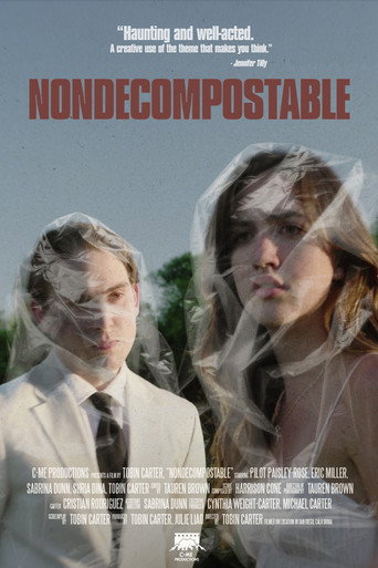 Movie poster for Nondecomposable