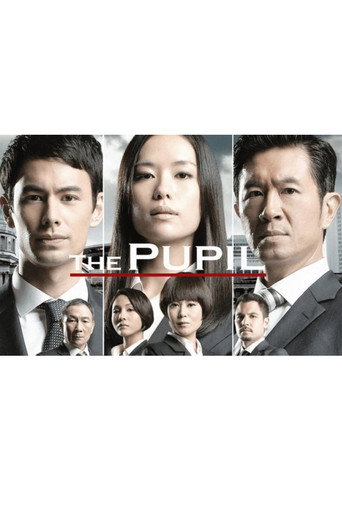 The Pupil poster