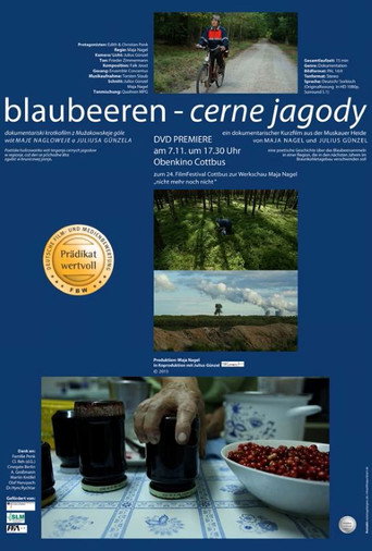 Movie poster for blaubeeren - cerne jagody (2013)