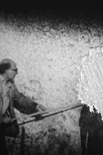 Shock Corridor poster