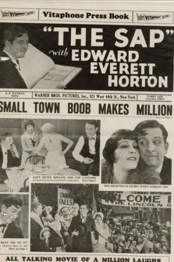 Movie poster for The Sap (1929)