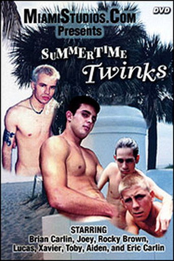 Movie poster for Summertime Twinks (2005)