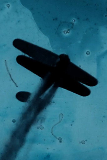 Movie poster for Ever Wanting (for Margaret Chung) (2021)