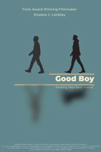 Movie poster for Good Boy