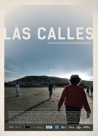 Movie poster for The Streets (2016)