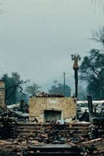 The First Rain poster