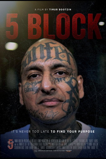 Movie poster for 5 Block (2024)