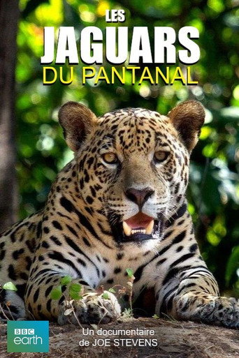 Movie poster for Jaguars of the Pantanal (2016)