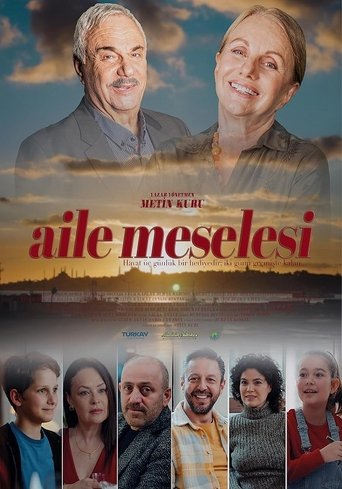 Aile Meselesi poster