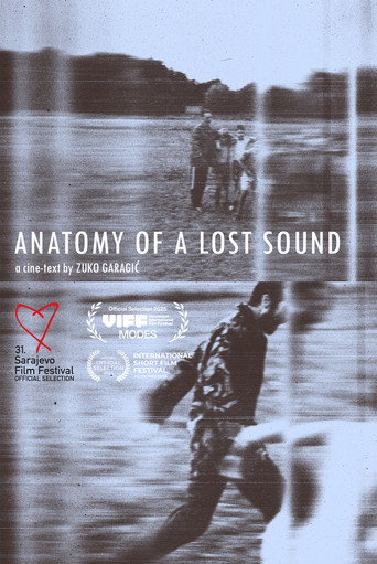 Movie poster for Anatomy of a Lost Sound (2025)