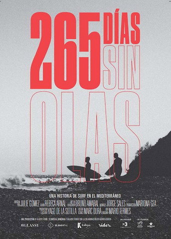 Movie poster for 265 Days Without Waves (2022)
