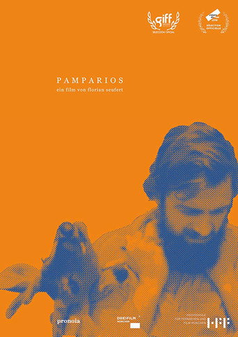 Movie poster for Pamparios (2018)