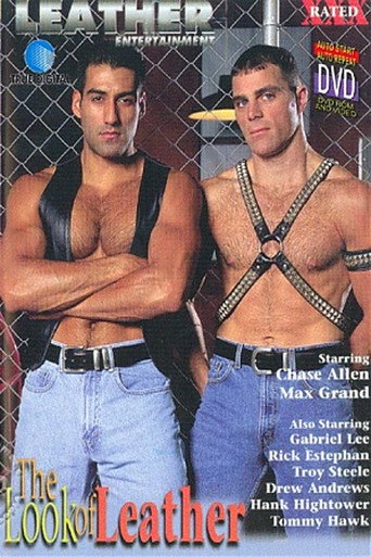 Movie poster for The Look of Leather