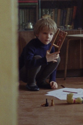Movie poster for Son or the Kaleidoscope (2019)