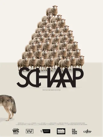 Movie poster for Sheep (2025)