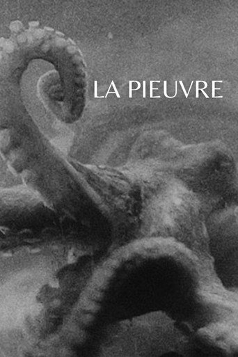 Movie poster for The Octopus (1928)