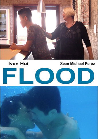 Movie poster for Flood