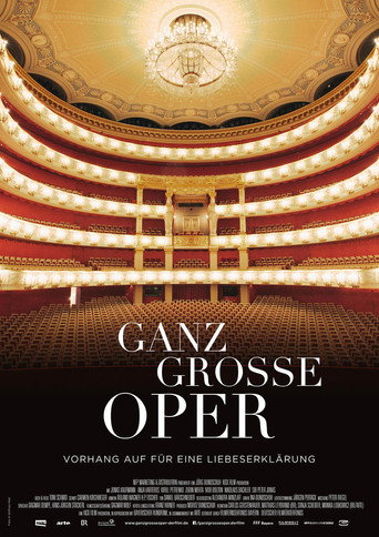 Movie poster for Ganz große Oper (2017)