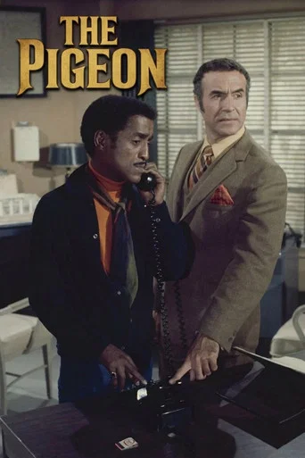 Movie poster for The Pigeon (1969)