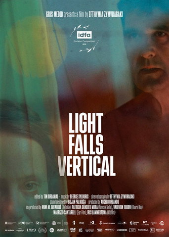 Movie poster for Light Falls Vertical (2022)