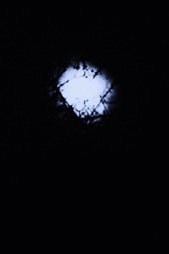 Movie poster for Night Awakening (1975)