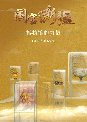 国宝里的新疆 poster
