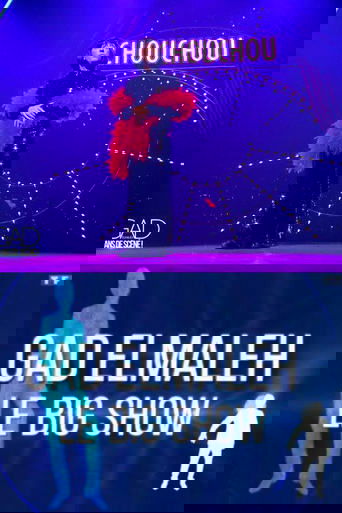 Gad Elmaleh - Le Big Show poster