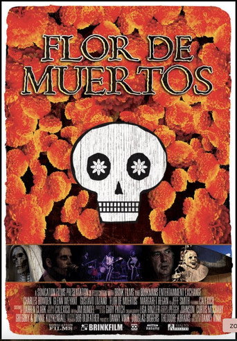 Movie poster for Flor de Muertos (2011)