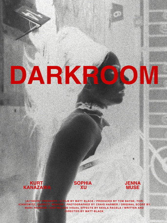 Movie poster for Darkroom (2026)