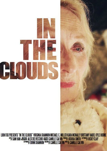 Movie poster for In the Clouds (2014)