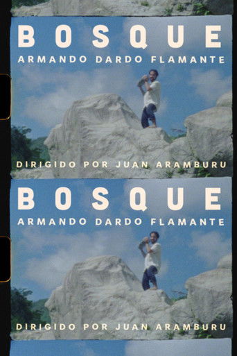 BOSQUE poster
