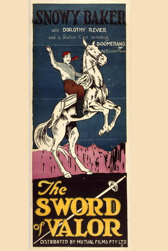 Movie poster for The Sword of Valor (1924)