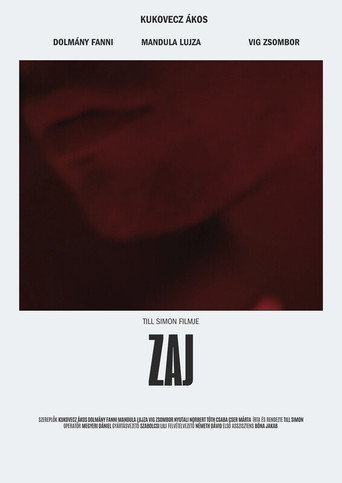 Movie poster for Zaj (2025)