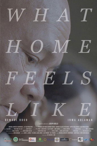 What Home Feels Like poster