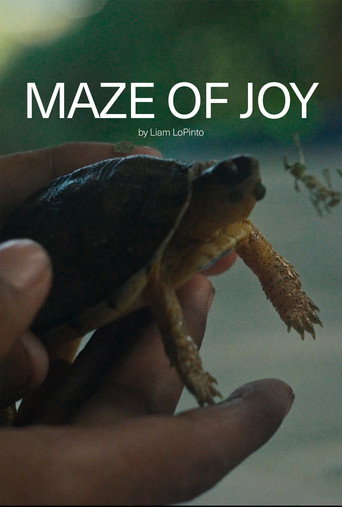 Movie poster for Maze of Joy (2025)